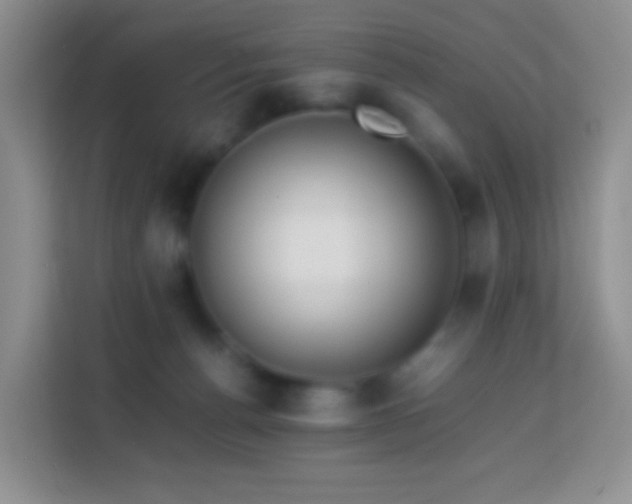 X0000114060176200910051224