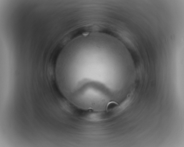 X0000114060178200910051224