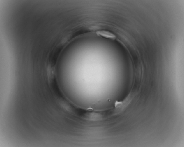 X0000114060180200910051224