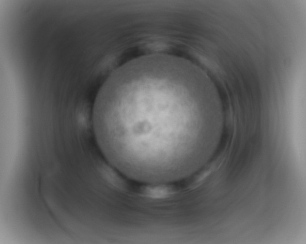 X0000114060181200910051224