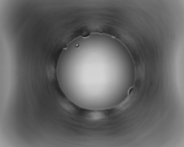 X0000114060183200910051224