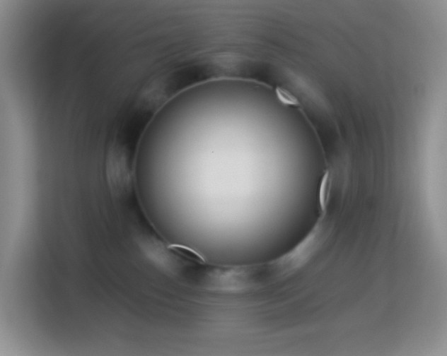 X0000114060186200910051224