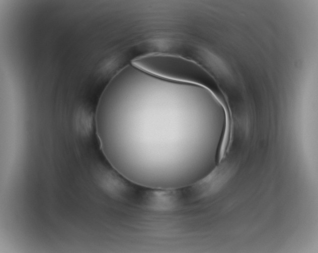 X0000114060188200910051224