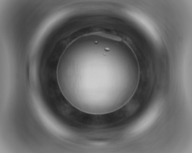 X0000114060189200910051224