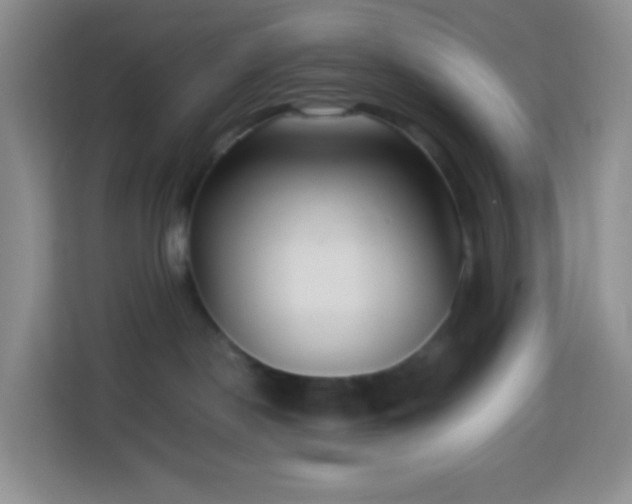 X0000114060190200910051224