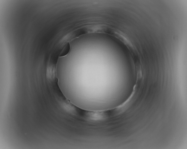 X0000114060191200910051224