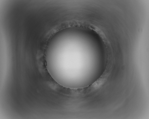 X0000114060192200910051224