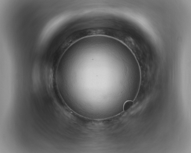 X0000114060194200910051223