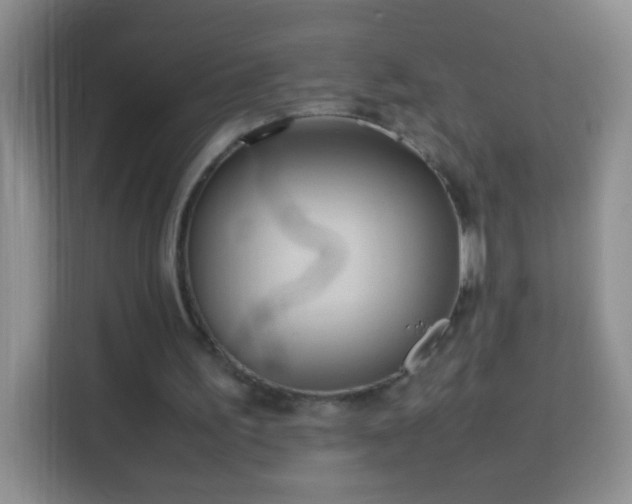 X0000114060195200910051223