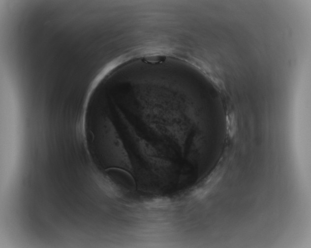 X0000114060196200910051223