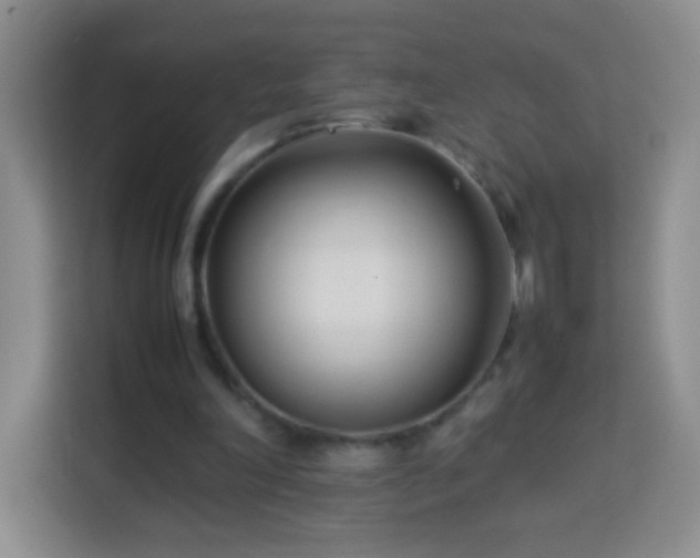 X0000114060198200910051223