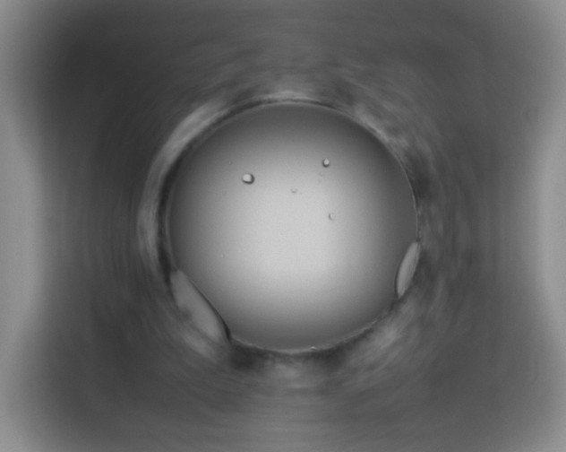 X0000114060199200910051223