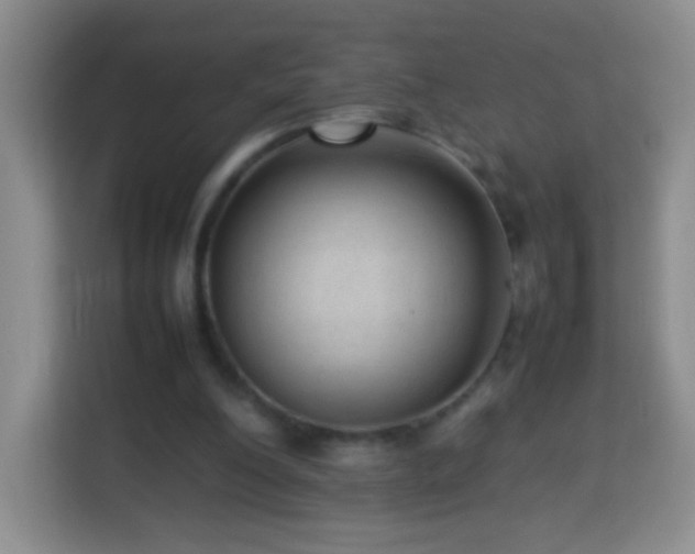 X0000114060200200910051223