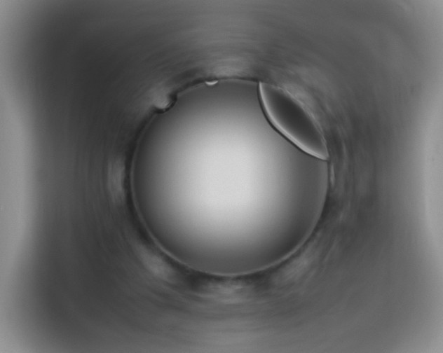 X0000114060201200910051223