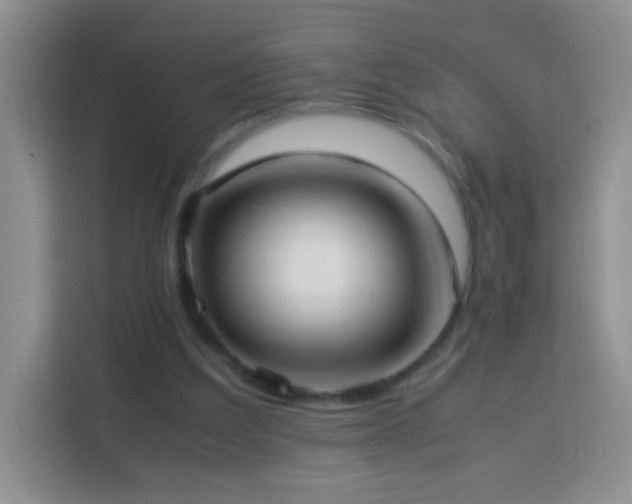 X0000114060203200910051223