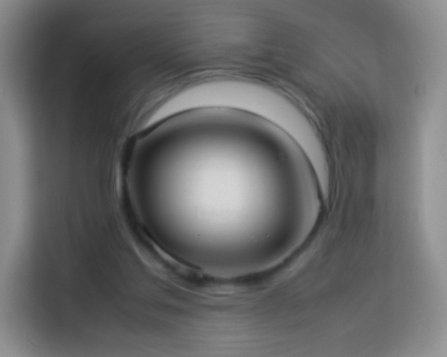 X0000114060205200910051223