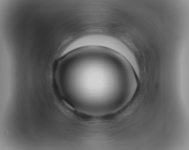 X0000114060207200910051223