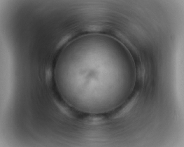 X0000114060208200910051223