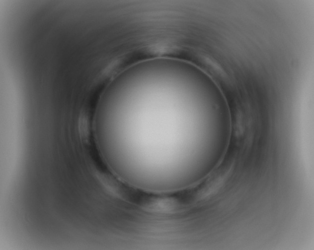 X0000114060210200910051223