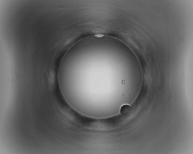 X0000114060211200910051223