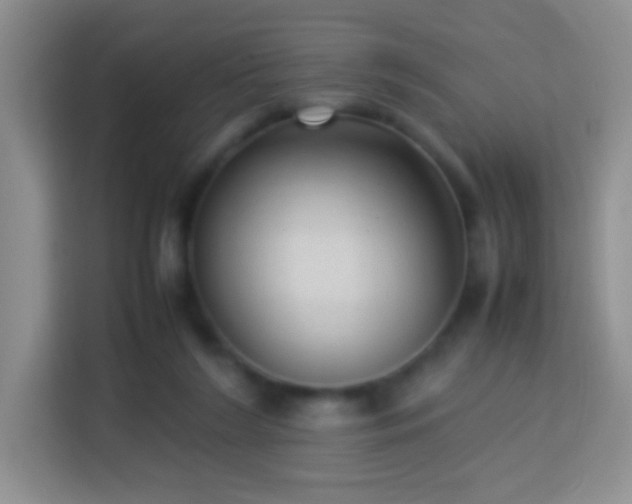 X0000114060212200910051223