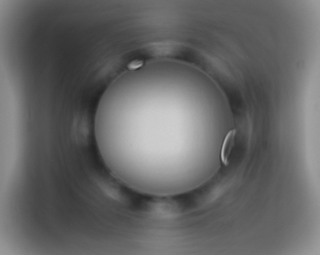 X0000114060215200910051223