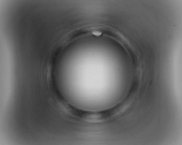 X0000114060217200910051223