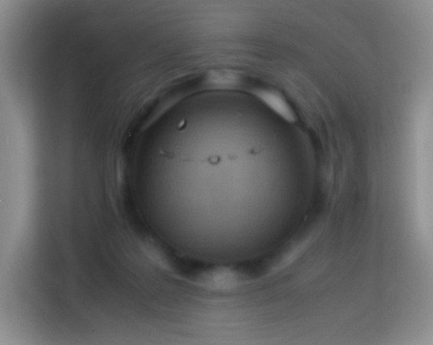 X0000114060219200910051223