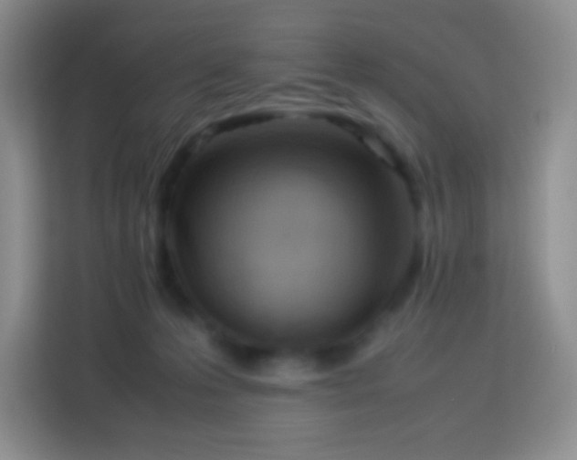 X0000114060223200910051223