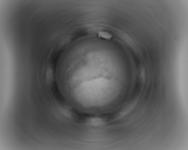 X0000114060224200910051223