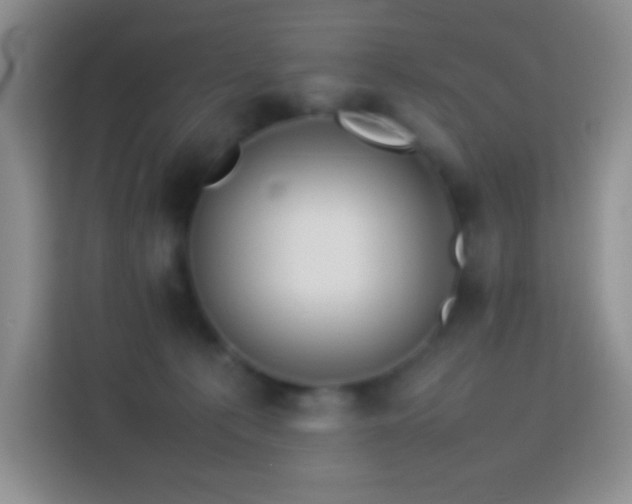 X0000114060225200910051223