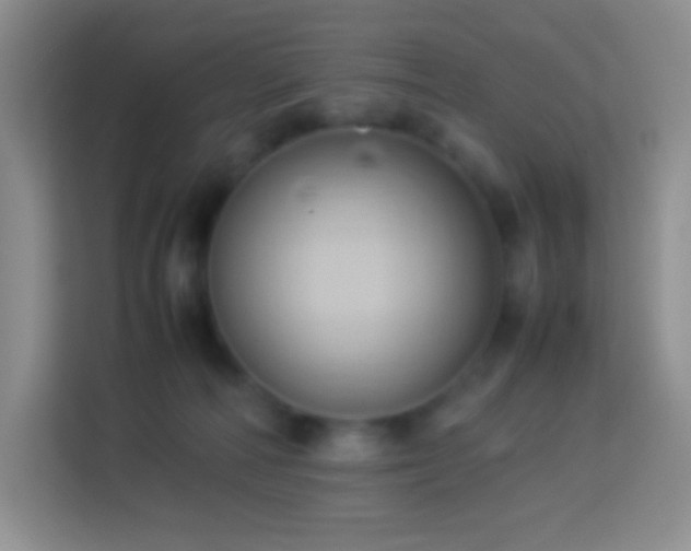 X0000114060226200910051223