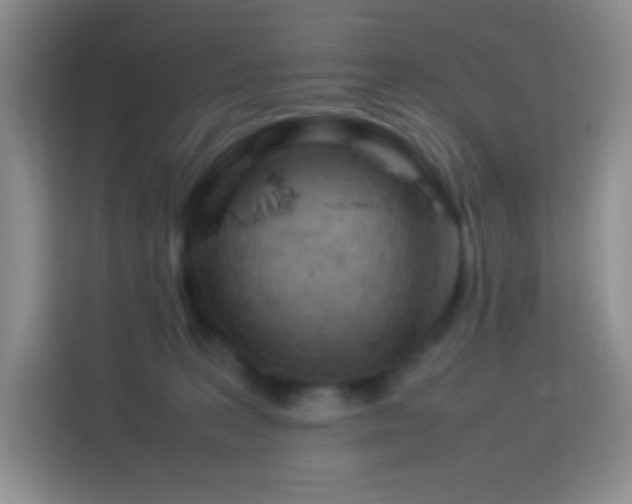 X0000114060227200910051223