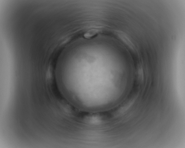 X0000114060228200910051223