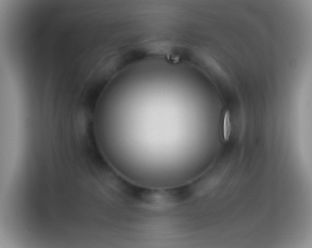 X0000114060229200910051223