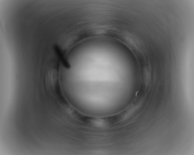 X0000114060230200910051223