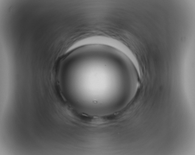 X0000114060231200910051223