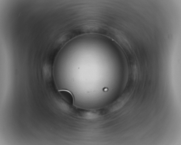 X0000114060232200910051223