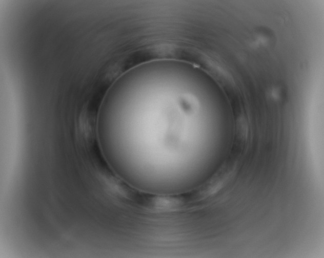 X0000114060234200910051223