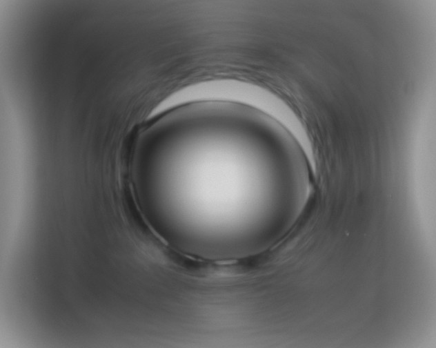 X0000114060235200910051223