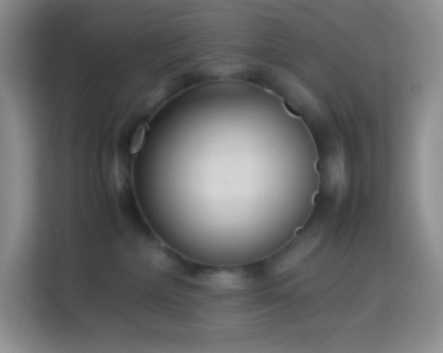 X0000114060236200910051223