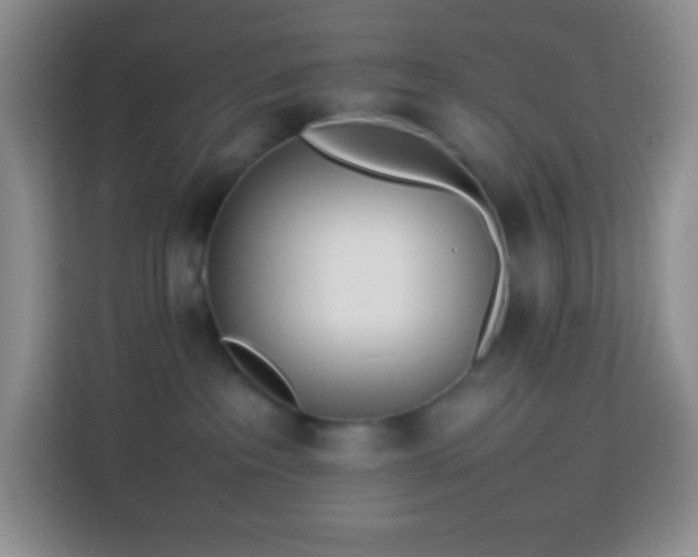 X0000114060237200910051223