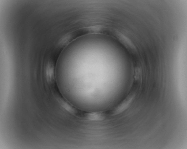 X0000114060238200910051223