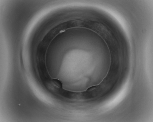 X0000114060239200910051223