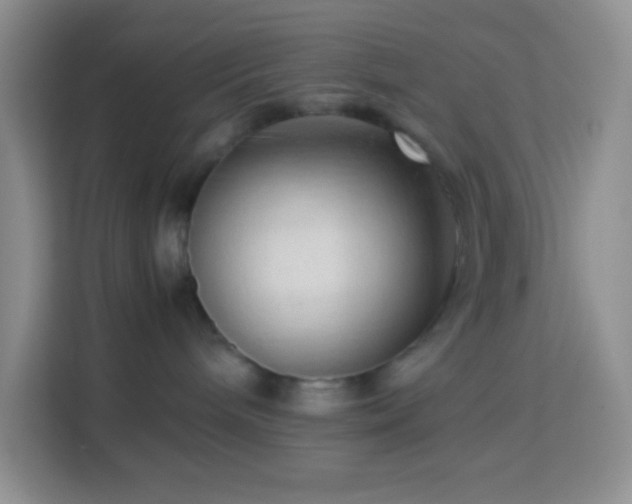 X0000114060240200910051223