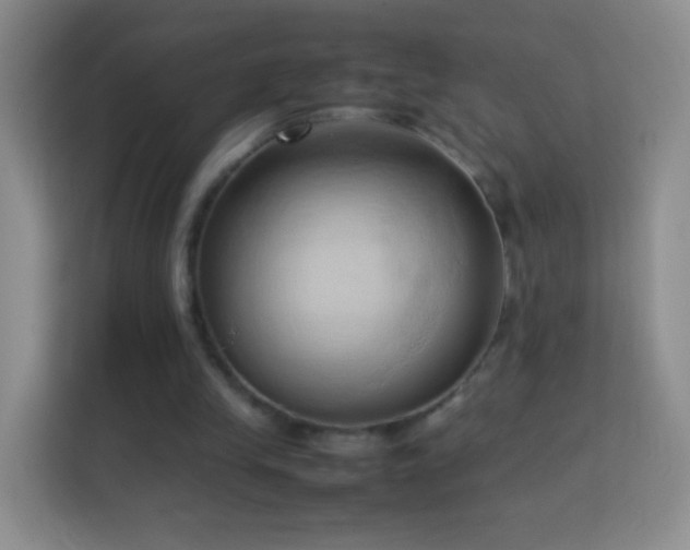 X0000114060245200910051222