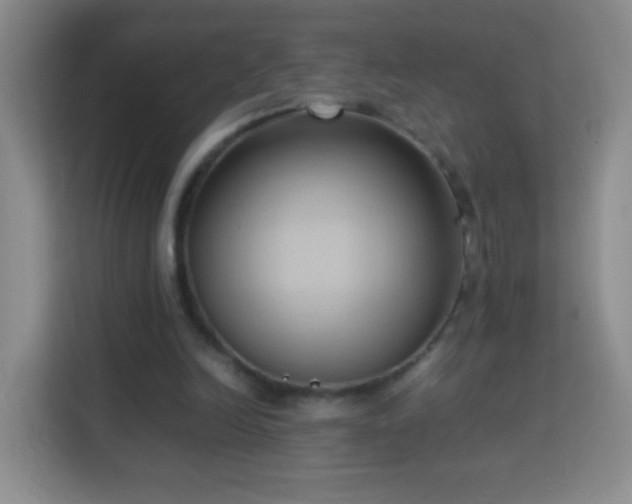 X0000114060246200910051222