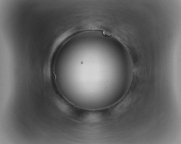 X0000114060248200910051222