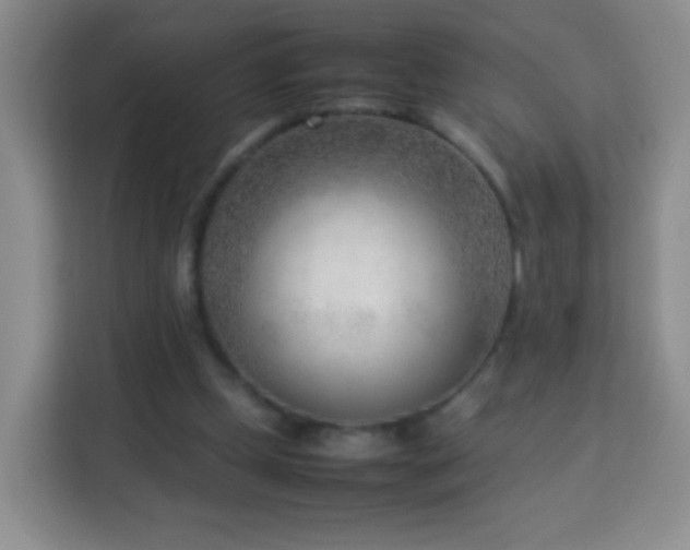 X0000114060249200910051222