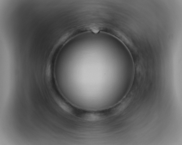 X0000114060250200910051222